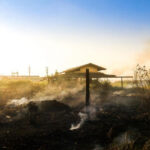 Dust Disasters in Feed Handling