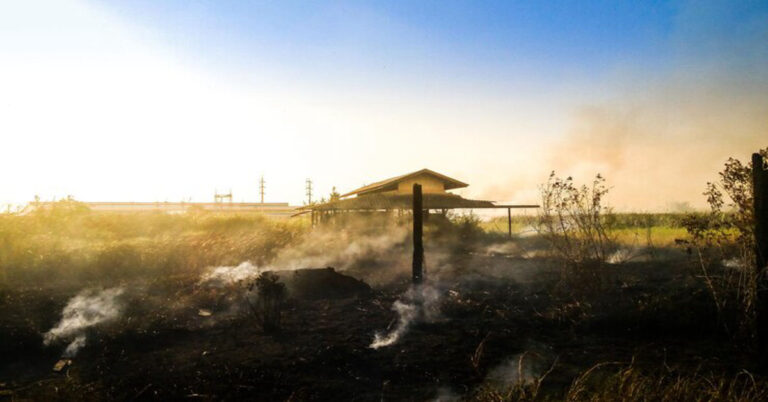 Dust Disasters in Feed Handling