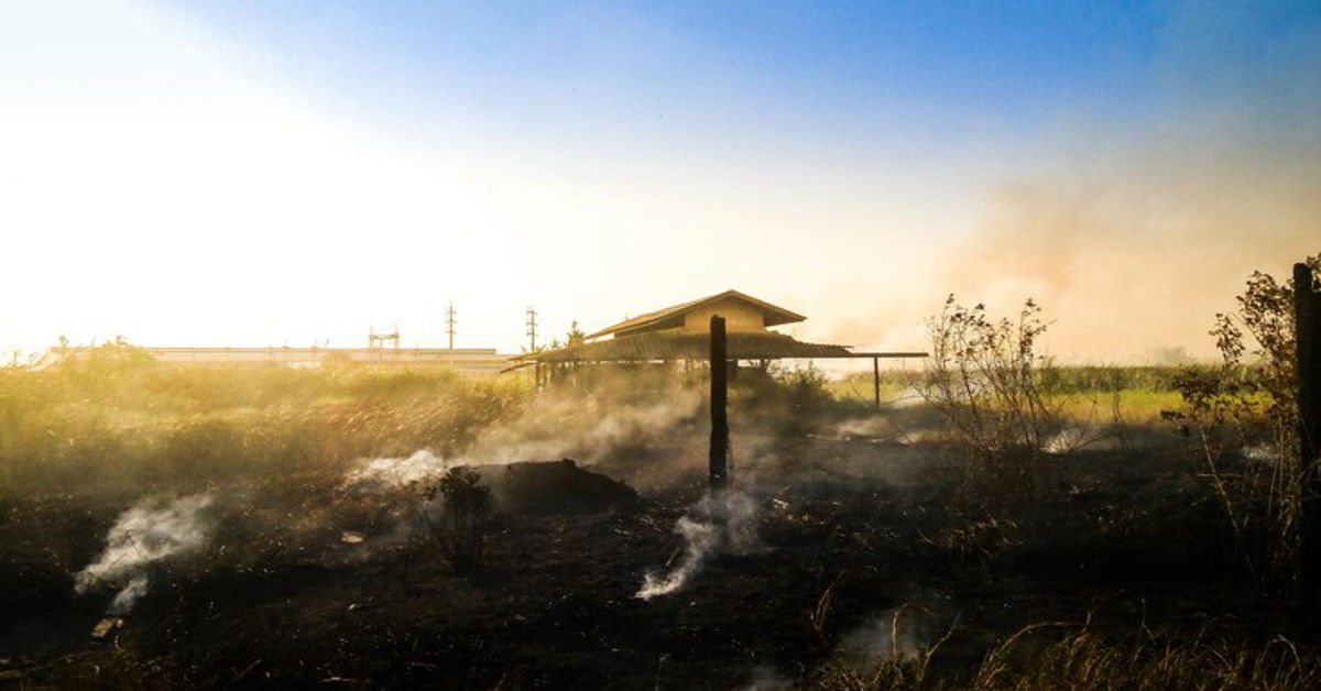 Dust Disasters in Feed Handling