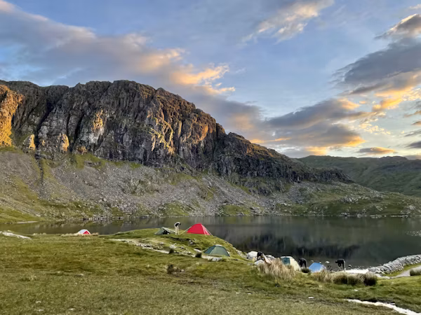 Tarnplanen
